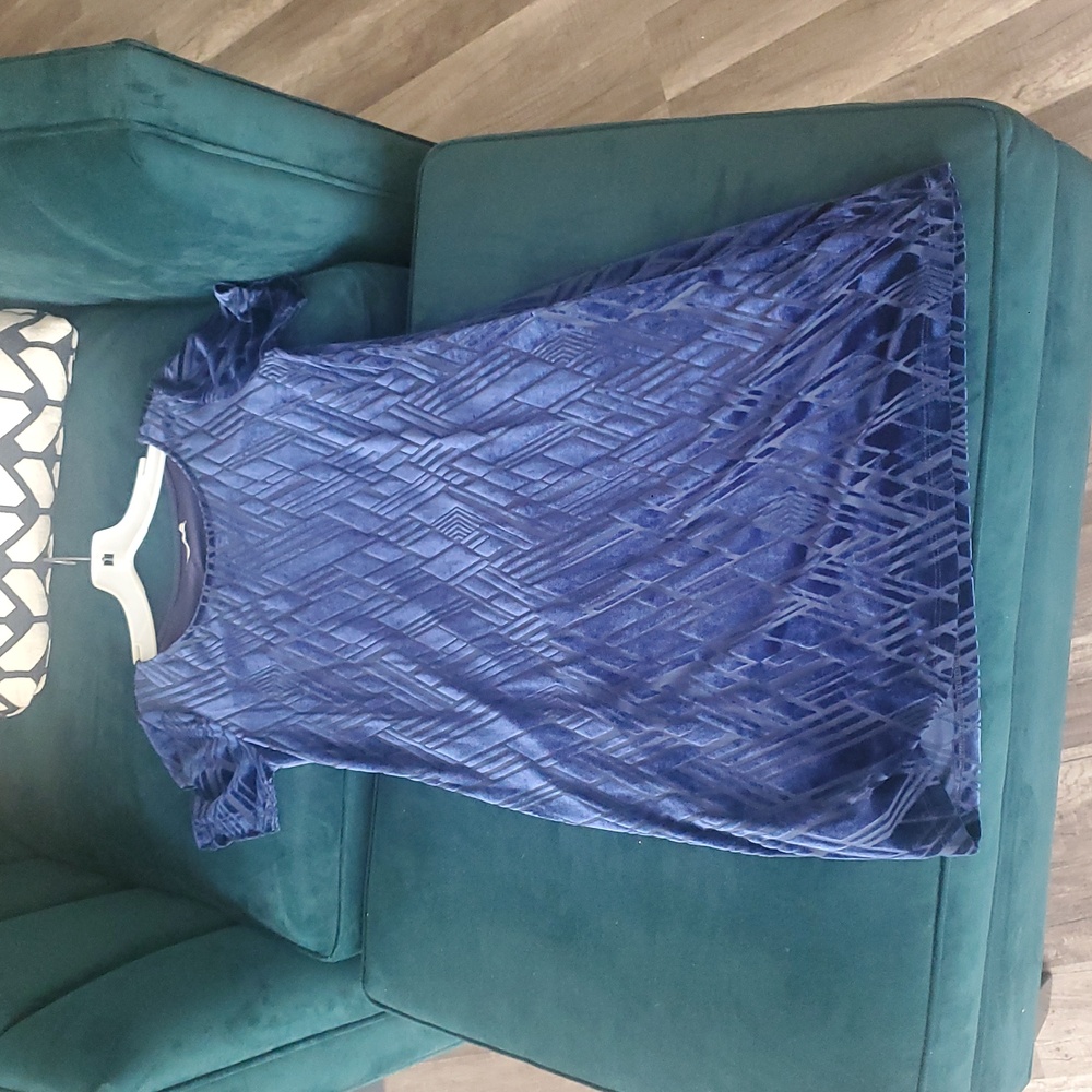 Elegant Blue Textured Shift Dress
